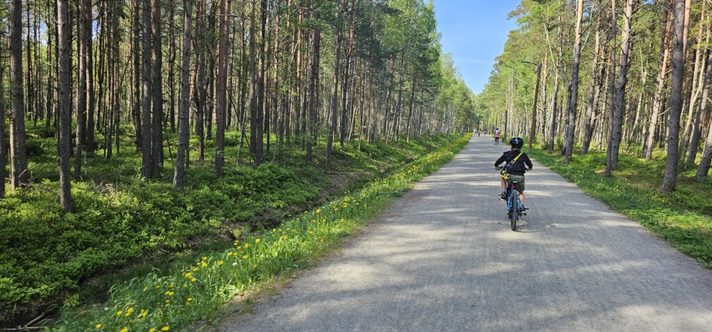 Kakumäe raba-mets (3)