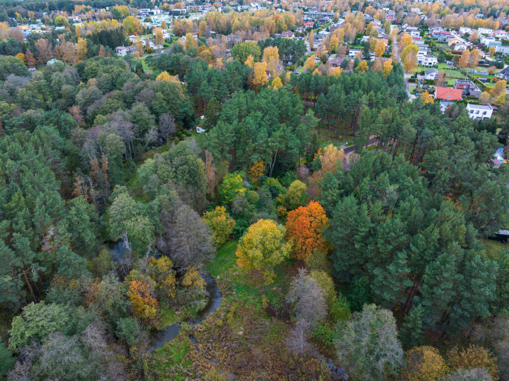 SvenZacek_241015_015