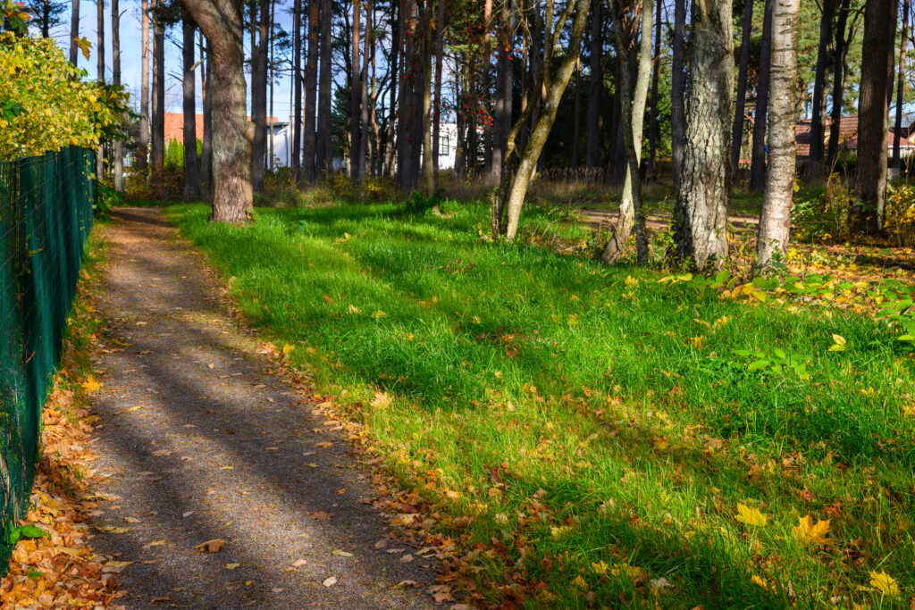 SvenZacek_241029_022