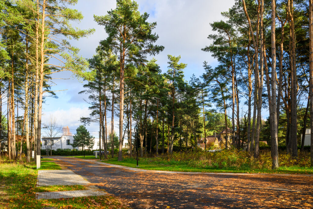 SvenZacek_241029_028