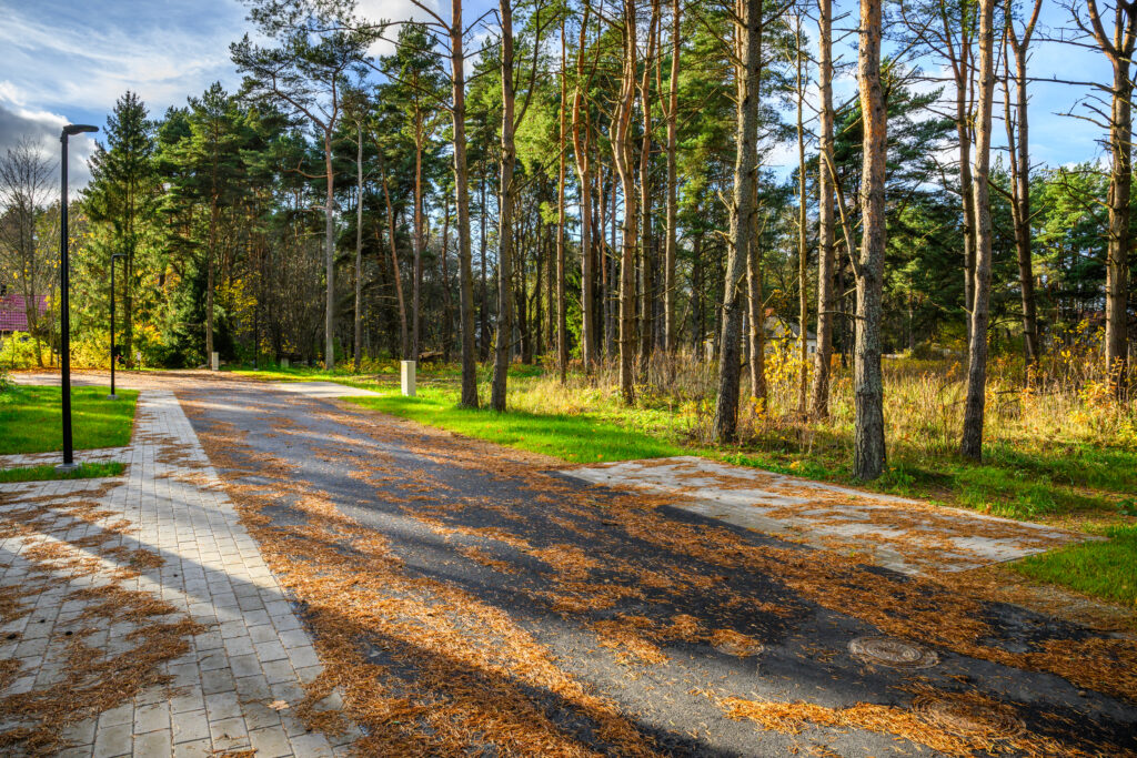 SvenZacek_241029_031